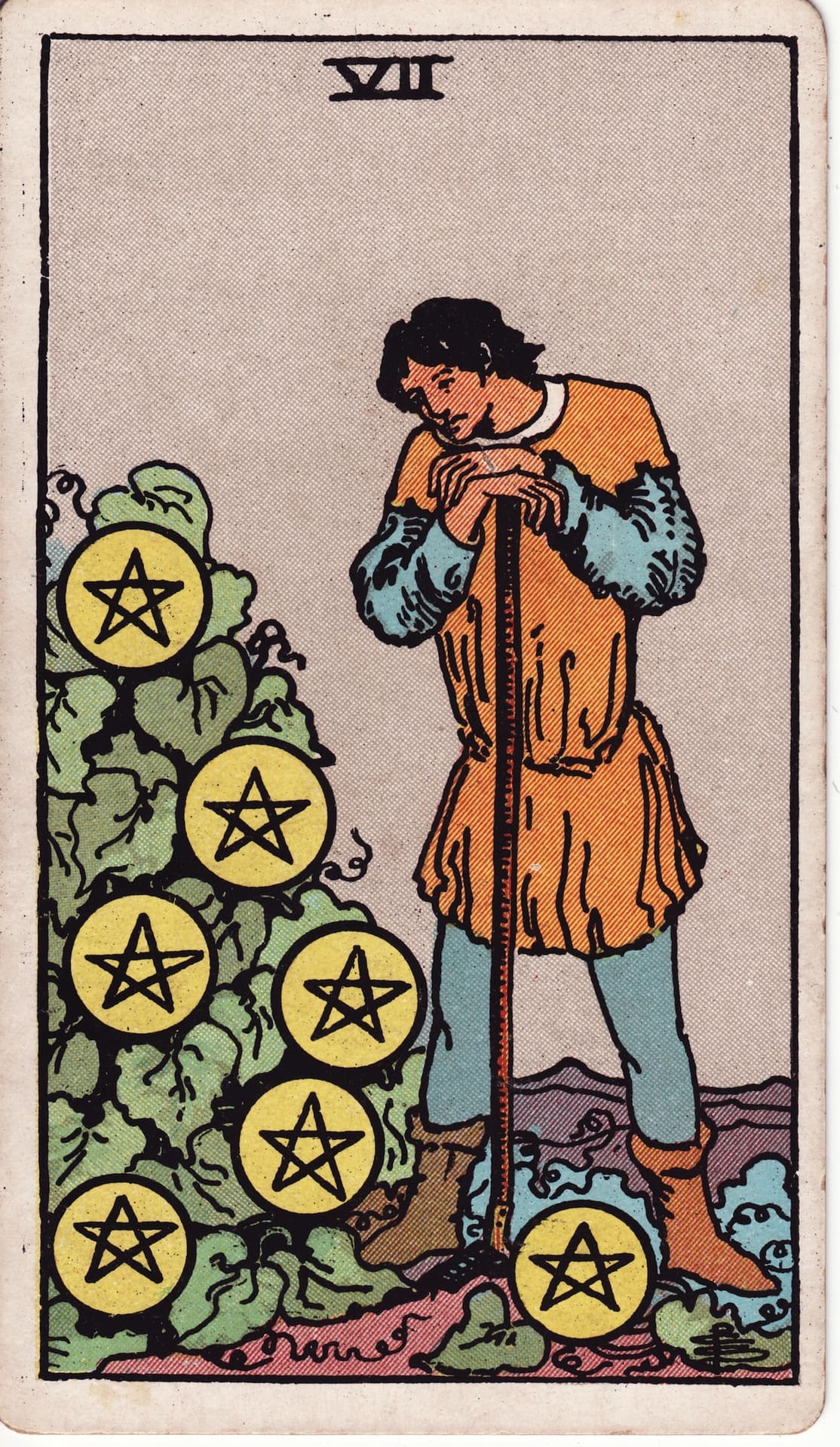 Seven of Pentacles (펜타클 7)